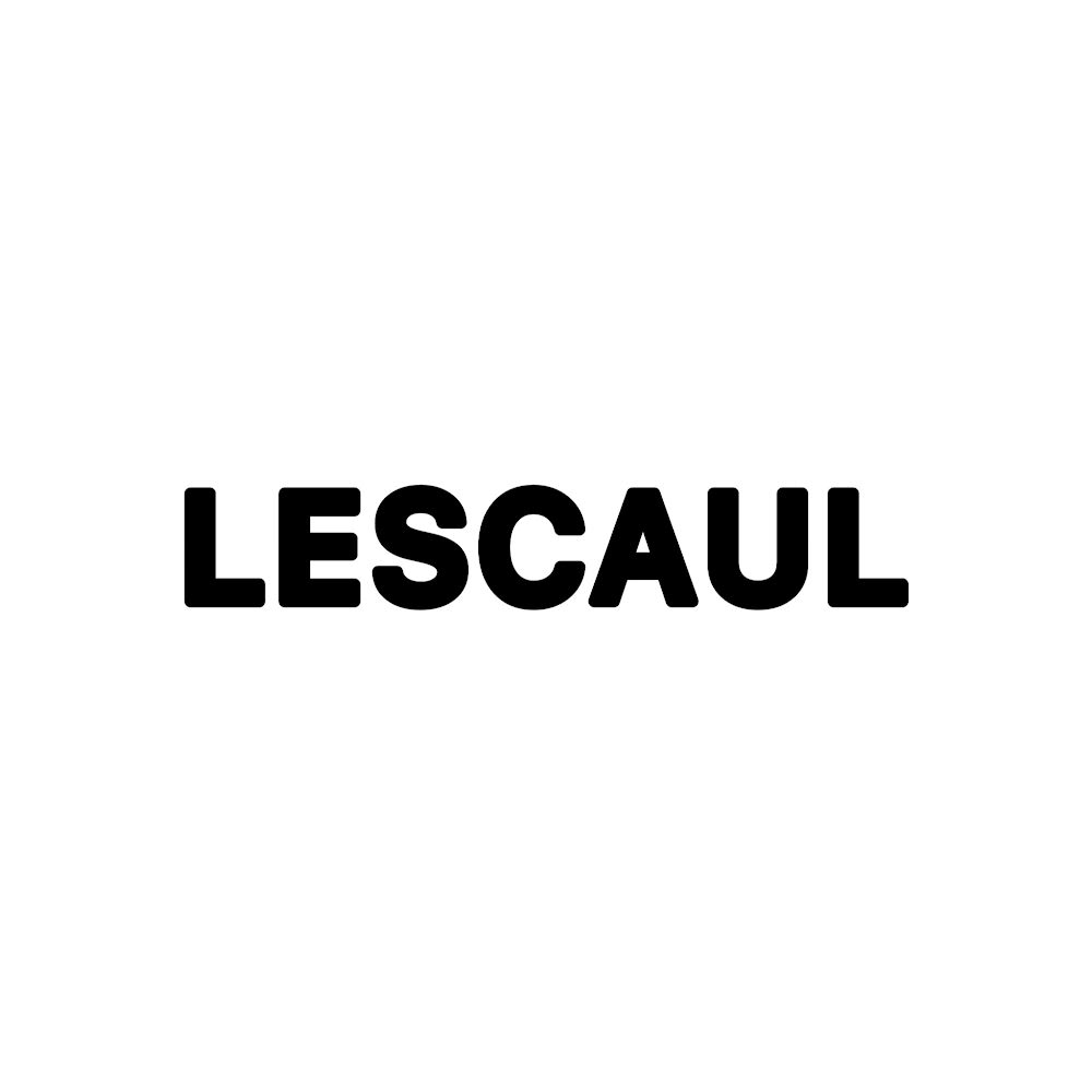 خرید اسکیت برند لسکول | LESCAUL skate
